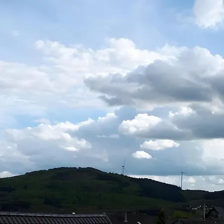 Braun In Apartman Anschau